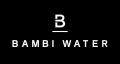 【BAMBI WATER】インナー悩みを解決!1枚で美胸&洗練 【BAMBI WATER】インナー悩みを解決!1枚で美胸&洗練