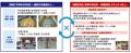 【部活動地域展開・学校開放事業】NTTSportict「マチ 【部活動地域展開・学校開放事業】NTTSportict「マチ
