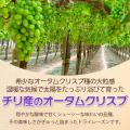 砂糖・オイル完全不使用！希少な大粒品種(オータムク