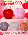 【明日から】2日間限定・先着100名様・全品650円(税込 【明日から】2日間限定・先着100名様・全品650円(税込