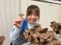 浜名湖で楽しむ旬の体験 「浜松きのこ」を収穫してそ 浜名湖で楽しむ旬の体験 「浜松きのこ」を収穫してそ