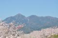 菰野町のご当地カプセルトイ「街ガチャin菰野町」待望