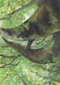 第24回ブリヂストンこどもエコ絵画コンクールをutf-8