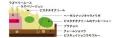【ロイヤルパインズホテル浦和】クリスマスケーキ2026