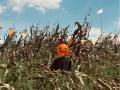 今年のハロウィーンは“那須千本松牧場のなかま”utf-8