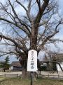 【10月31日(土)開催】国宝「勝興寺」の奥書院・八角 【10月31日(土)開催】国宝「勝興寺」の奥書院・八角