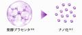 プラセンタの、その先へ。「発酵×ナノ」から生まれた