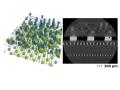 ZEISS、研究・産業検査向け新型ハイブリッド3D X線顕