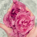 【I'm La Floria】最後のひと吹きが、今日の私に自信