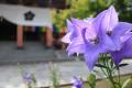 【9月30日までの限定企画】初秋の京都・東山でゆった
