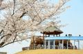 【10/1（木）オンライン開催】1200年の歴史を持つ寺院