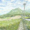 【北海道富良野市】第48回特別展「イマイカツミ ふら 【北海道富良野市】第48回特別展「イマイカツミ ふら