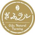 柳ヶ瀬広場予定地に「カフェ柳ヶ瀬」、9月20日ソフト 柳ヶ瀬広場予定地に「カフェ柳ヶ瀬」、9月20日ソフト