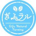 柳ヶ瀬広場予定地に「カフェ柳ヶ瀬」、9月20日ソフト 柳ヶ瀬広場予定地に「カフェ柳ヶ瀬」、9月20日ソフト