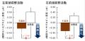 木製会議テーブルに触れると脳がリラックス―実際の会 木製会議テーブルに触れると脳がリラックス―実際の会