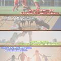 【東急SレイエスFC】レイエスオリジナルプロテイン発
