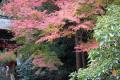 歴史薫る「駿府城」から出発。美しい紅葉山庭園と荘厳