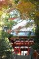 歴史薫る「駿府城」から出発。美しい紅葉山庭園と荘厳