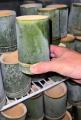 世界初「竹で飲む抹茶ラテ」がSNS総再生回数1.5億回を