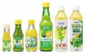 『シークヮーサー100 (SHIKUWA SAHUNDRED)』、Interna 『シークヮーサー100 (SHIKUWA SAHUNDRED)』、Interna