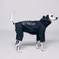 雨の日も愛犬と一緒に楽しむ、新しいペアスタイル。ST