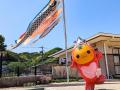 「南伊勢町釣りイベント たいみーの五目釣り！」を202