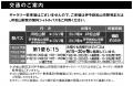 国内女子プロゴルフツアー公認競技最終戦　第45回記念