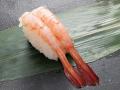 創業の地「福井県の食材」を食べて応援!「うまutf-8 創業の地「福井県の食材」を食べて応援!「うまutf-8