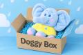 「Doggy Box」と特別コラボ 10月5日オープンの熱海・ 「Doggy Box」と特別コラボ 10月5日オープンの熱海・