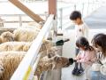 「動物たちのため」のリニューアル【ハーベストの丘】 「動物たちのため」のリニューアル【ハーベストの丘】