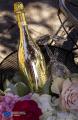プールリニューアル前、イタリア名門ワイナリー「BOTT