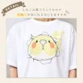 【新発売】ばりーん！と飛び出しちゃった！？鳥さん達
