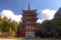 世界遺産・醍醐寺の文化財を次世代へ――。中野裕之監督