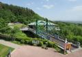 【平尾山公園・昆虫体験学習館】スズメバチ芸人・丸沢