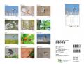 野鳥たちの姿と季節の織りなす情景を映し出す写真家・