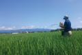 「北海道産ホタテの麻辣湯フォー」を10月6日（火）よ