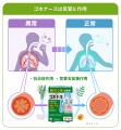 「治ってもまたぶり返す」*¹長引く咳の不安に寄り添う 「治ってもまたぶり返す」*¹長引く咳の不安に寄り添う