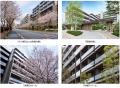 「国立富士見台団地マンション再生事業」(東京都国立