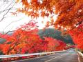 約20kmのロング試乗を京都・嵐山で。「-バイカーズパ