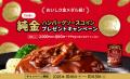 50万円相当 世界で1つの純金ハンバーグソースコイン当 50万円相当 世界で1つの純金ハンバーグソースコイン当