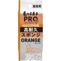 「亀の子束子PRO」より、HACCP対応の新商品が登場 「亀の子束子PRO」より、HACCP対応の新商品が登場
