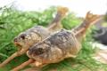 ネスタリゾート神戸 食の体験エリア「ハーベスト・テ