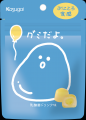 「グミだよ。」 オリジナルクッションが９３（グミ）