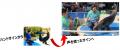 サンシャイン水族館いきものディスカバリー通信vol.28