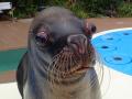 サンシャイン水族館いきものディスカバリー通信vol.28