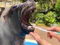 サンシャイン水族館いきものディスカバリー通信vol.28