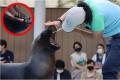 サンシャイン水族館いきものディスカバリー通信vol.28