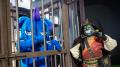 TGS2026『パルワールド』ポケットペアブースを振り返