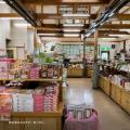 福島・南会津の道の駅、 “一生”イナゴソフトが食べら