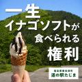福島・南会津の道の駅、 “一生”イナゴソフトが食べら